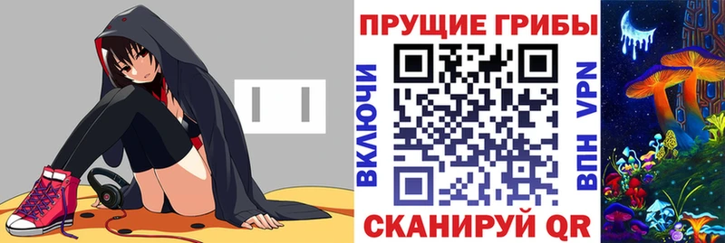Купить закладки  Туран  Псилоцибиновые грибы прущие грибы 